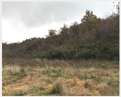  2024Ÿ��57990  �������