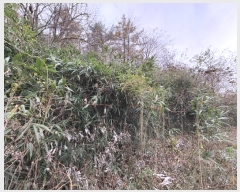  2024Ÿ��57990  �������