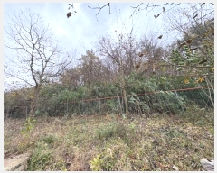  2024Ÿ��57990  �������