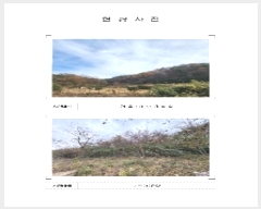  2024Ÿ��57990  �������