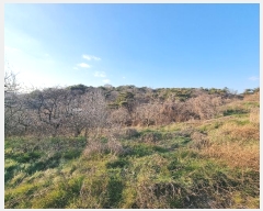  2024Ÿ58528   ߸  64-4      (Ӿ)