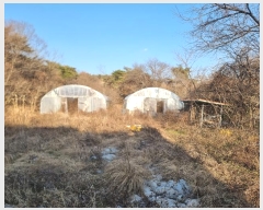  2024Ÿ58528   ߸  64-4      (Ӿ)