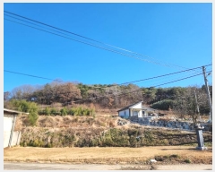  2024Ÿ58528   ߸  64-4      (Ӿ)