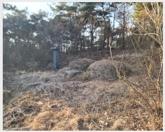  2024Ÿ58528   ߸  64-4      (Ӿ)