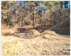  2024Ÿ58528   ߸  64-4      (Ӿ)