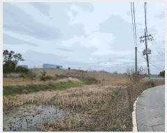  2024Ÿ��789  �Ӿ߰��