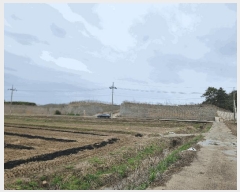  2024Ÿ��789  �Ӿ߰��