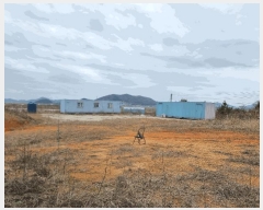  2024Ÿ��789  �Ӿ߰��