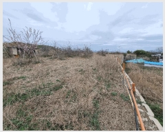  2024Ÿ��789  �Ӿ߰��