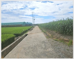  2024Ÿ��4309  �������