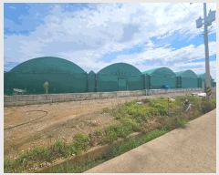  2024Ÿ��4309  �������