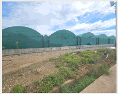  2024Ÿ��4309  �������