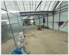  2024Ÿ��4309  �������