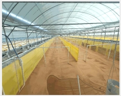  2024Ÿ��4309  �������