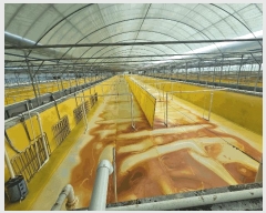  2024Ÿ��4309  �������