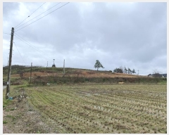  2024Ÿ50678  ȱ Ϸ ǻ긮 559-71      (Ӿ)