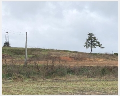  2024Ÿ50678  ȱ Ϸ ǻ긮 559-71      (Ӿ)