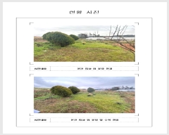  2024Ÿ50678  ȱ Ϸ ǻ긮 559-71      (Ӿ)