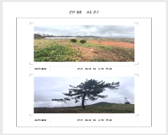  2024Ÿ50678  ȱ Ϸ ǻ긮 559-71      (Ӿ)