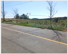  2024Ÿ��56690  �����