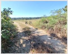  2024Ÿ��56690  �����