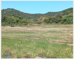  2024Ÿ��56690  �����