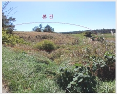  2024Ÿ��56690  �����