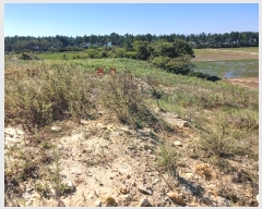  2024Ÿ��56690  �����