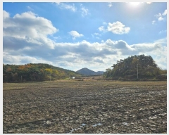  2024Ÿ��57716  �����