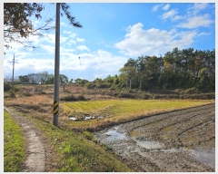  2024Ÿ��57716  �����