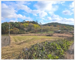  2024Ÿ��57716  �����