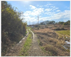  2024Ÿ��57716  �����