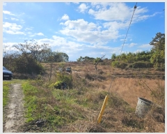  2024Ÿ��57716  �����