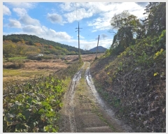  2024Ÿ��57716  �����