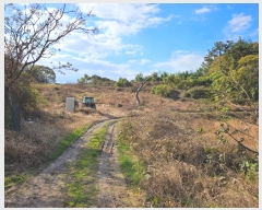  2024Ÿ��57716  �����