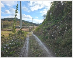  2024Ÿ��57716  �����