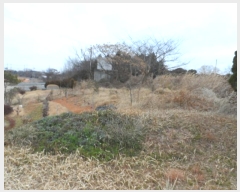  2024Ÿ58160  ϱ  и 365-1      (1)