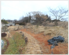  2024Ÿ58160  ϱ  и 365-1      (1)