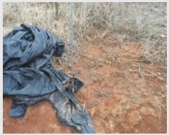  2024Ÿ58160  ϱ  и 365-1      (1)