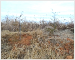  2024Ÿ58160  ϱ  и 365-1      (1)