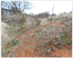  2024Ÿ58160  ϱ  и 365-1      (1)