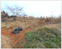  2024Ÿ58160  ϱ  и 365-1      (1)