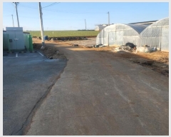  2024Ÿ��58221  ������