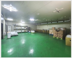  2024Ÿ��379  ������