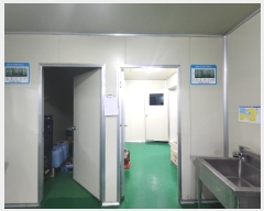  2024Ÿ��379  ������