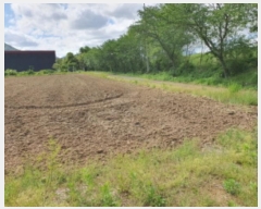  2024Ÿ5633   õ 긮 189-1      