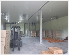  2024Ÿ6025  ﱺ  ݸ 57      ,â