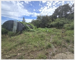  2024Ÿ6278  ﱺ  Ӹ 270      ()