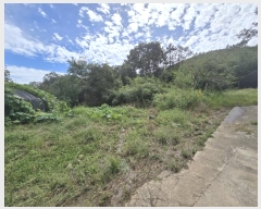  2024Ÿ6278  ﱺ  Ӹ 270      ()