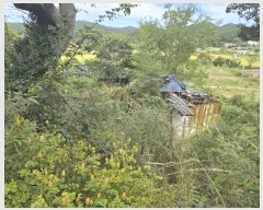  2024Ÿ6278  ﱺ  Ӹ 270      ()